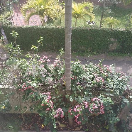 Paradise Inn Guest House Alappuzha Экстерьер фото