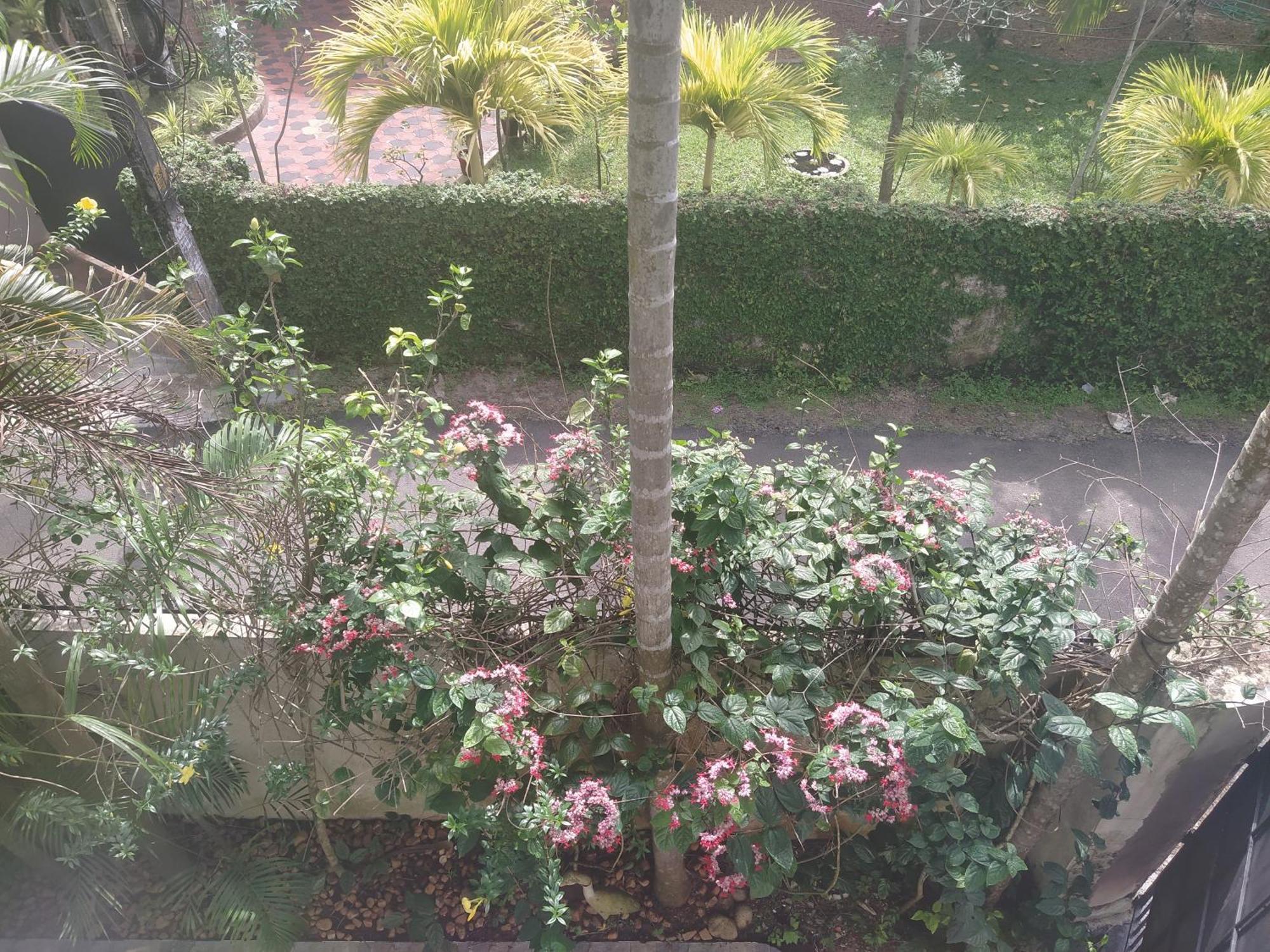 Paradise Inn Guest House Alappuzha Экстерьер фото